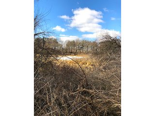 Property photo 5 - REAL ESTATE AUCTION - 30.5+/- ACRES IN 3 TRACTS IN KOSCIUSKO COUNTY, INDIANA